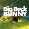 bigBuck