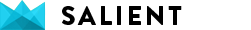 Salient主题蓝月网络演示